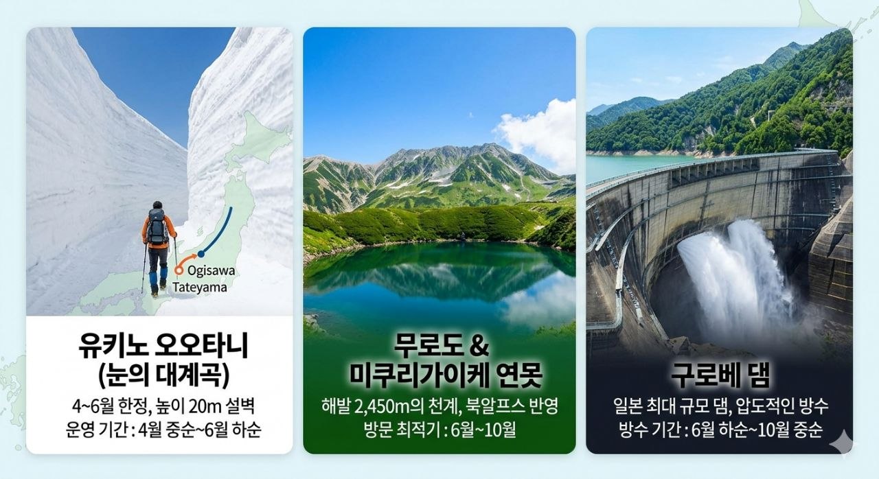유키노오타니 설벽과 무로도 연못, 구로베댐 핵심 포인트를 요약한 인포그래픽