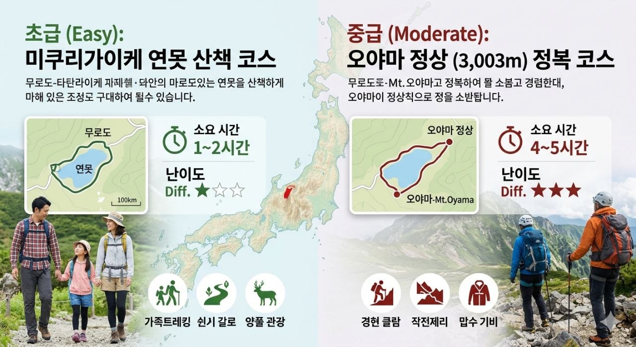 초급 산책 코스와 중급 오야마 등정 코스를 비교한 트래킹 난이도 인포그래픽